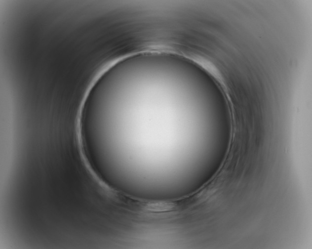 X0000092061440200709262020