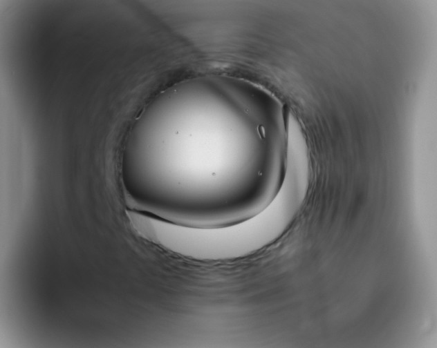 X0000092061441200709262019