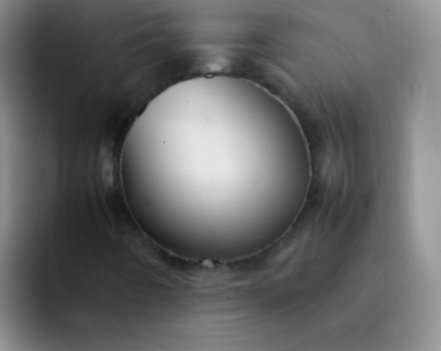 X0000092061442200709262019