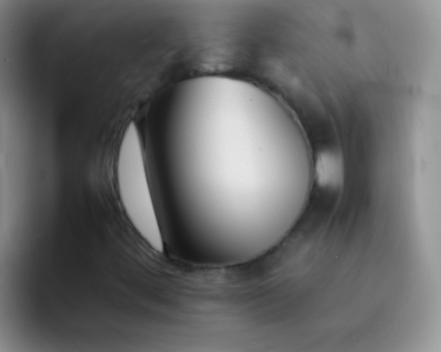 X0000092061444200709262019