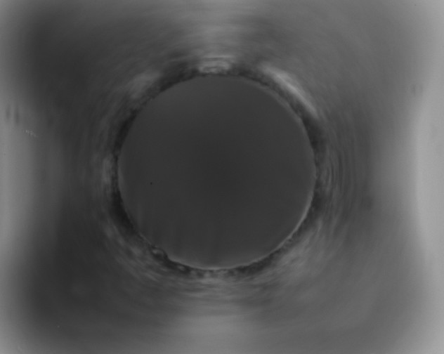 X0000092061445200709262019