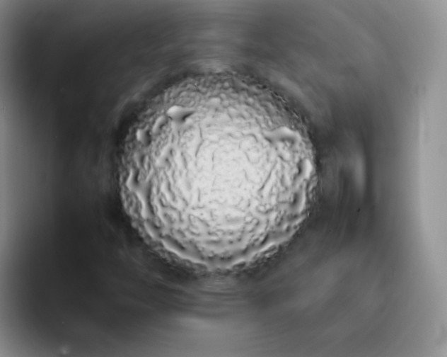 X0000092061446200709262019