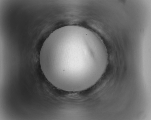 X0000092061447200709262019