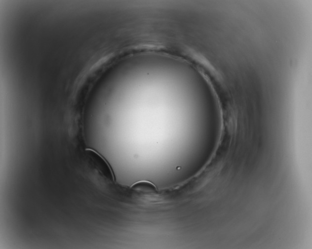 X0000092061448200709262019