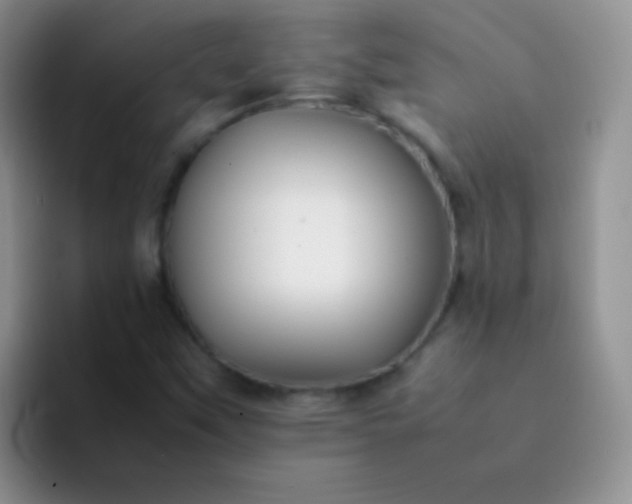 X0000092061451200709262019