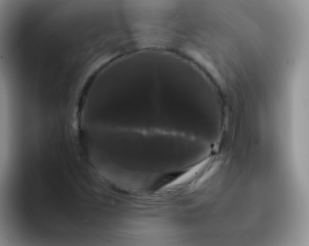 X0000092061453200709262019