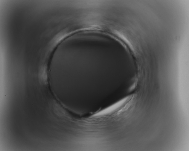 X0000092061455200709262019