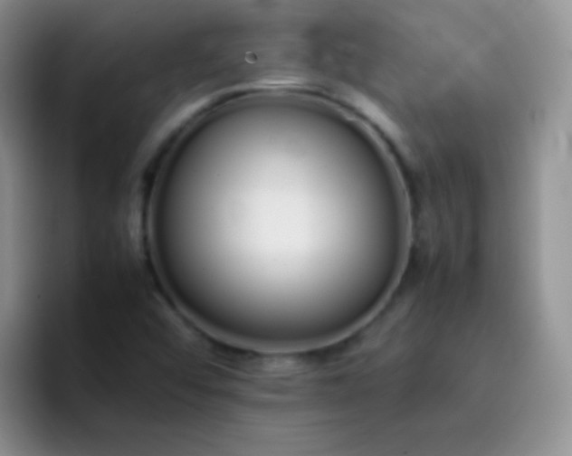 X0000092061456200709262019