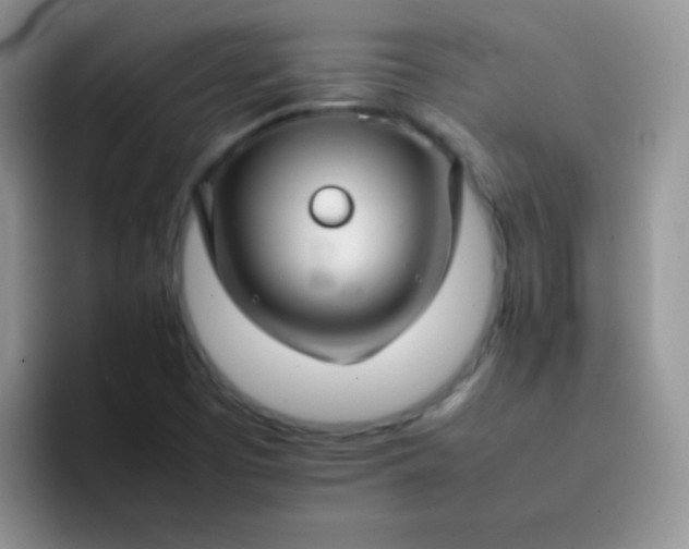 X0000092061457200709262019