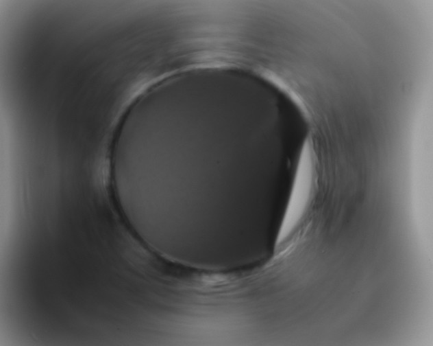 X0000092061459200709262019