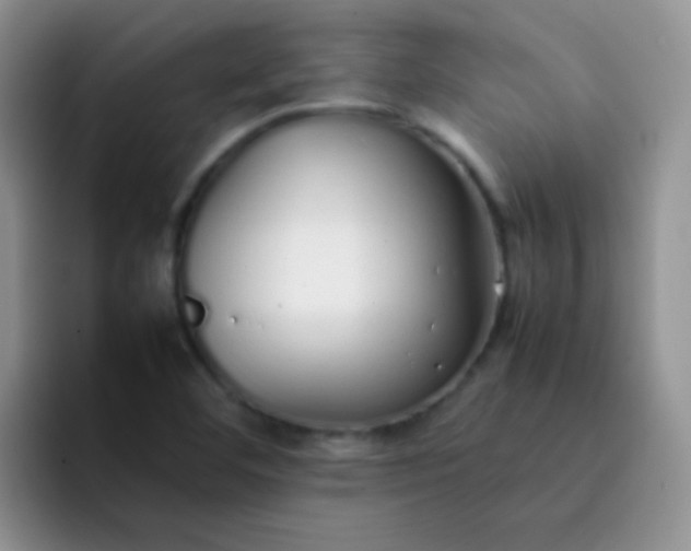 X0000092061460200709262019