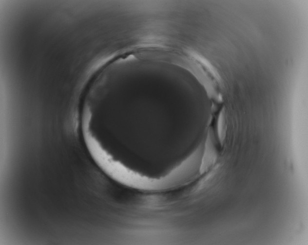 X0000092061461200709262019