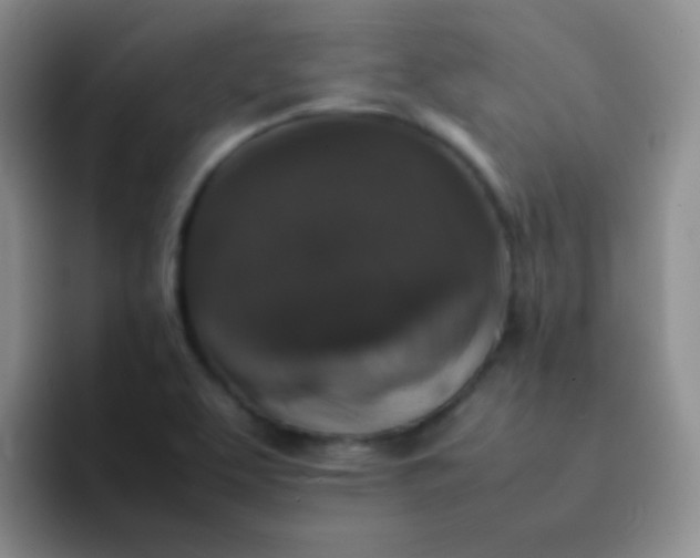 X0000092061463200709262019