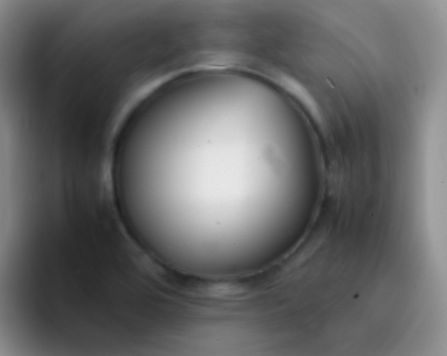 X0000092061464200709262019