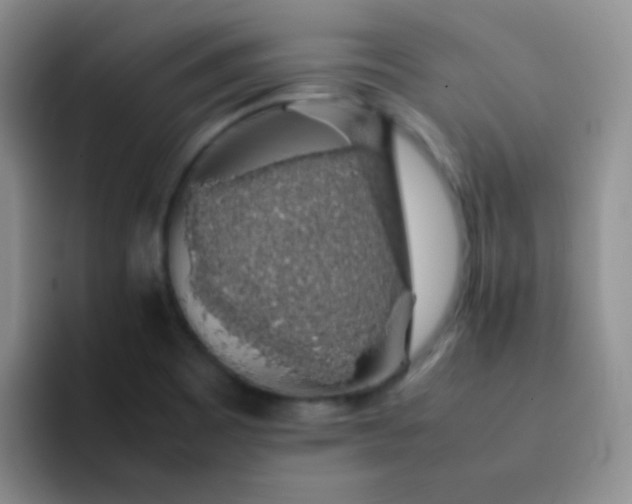 X0000092061465200709262019