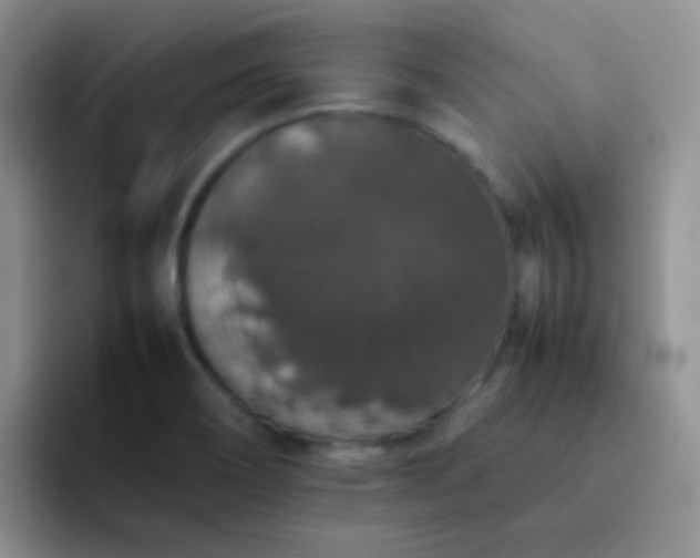 X0000092061466200709262019