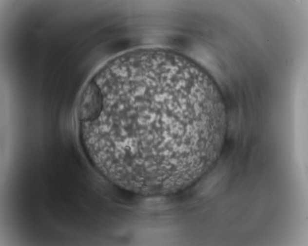 X0000092061467200709262019