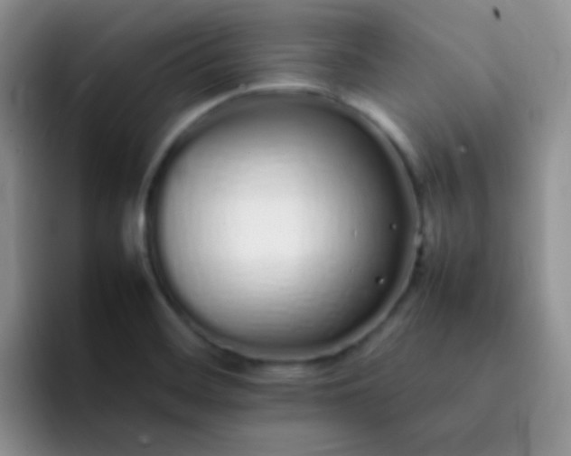 X0000092061468200709262019