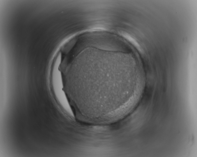 X0000092061469200709262019