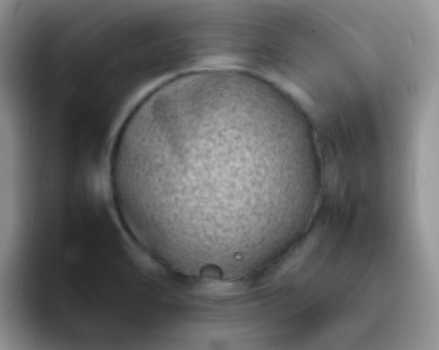 X0000092061470200709262019