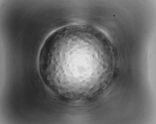 X0000092061471200709262019