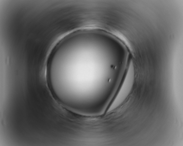 X0000092061472200709262019