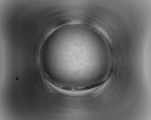 X0000092061473200709262019