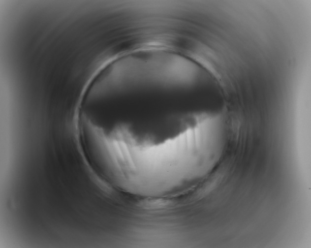 X0000092061474200709262019