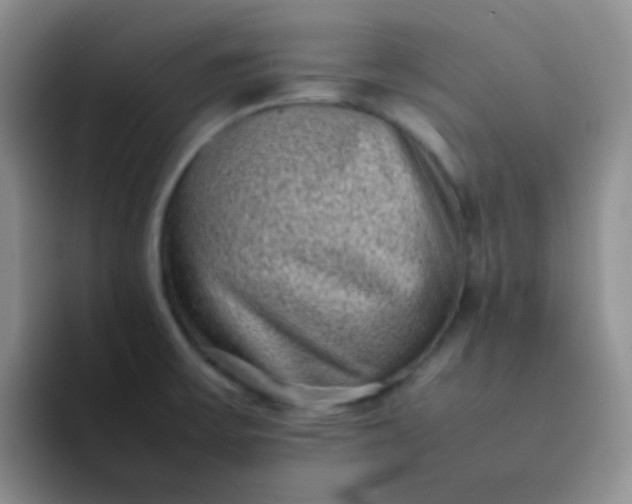 X0000092061475200709262019