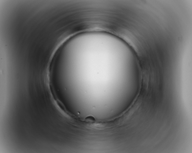 X0000092061476200709262019