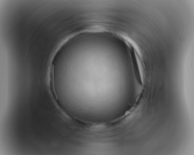 X0000092061477200709262019