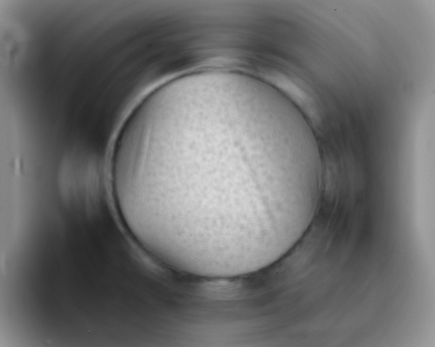 X0000092061478200709262019