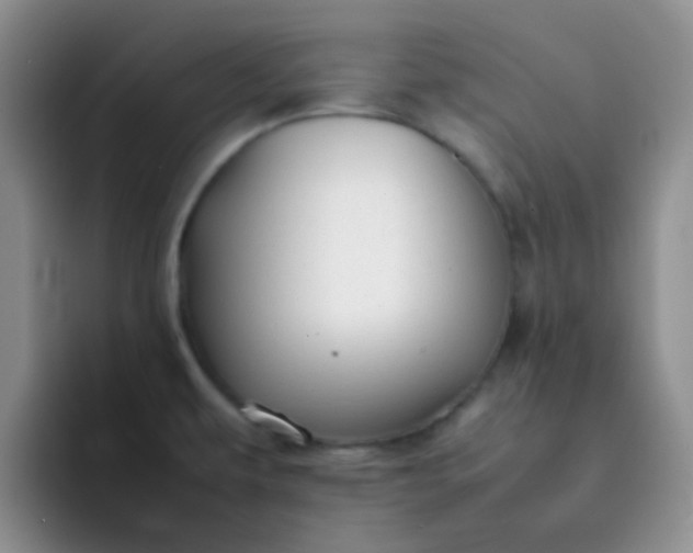 X0000092061479200709262019