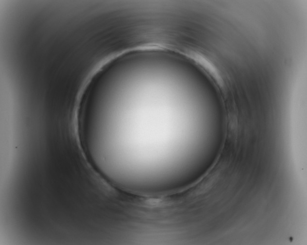 X0000092061480200709262019