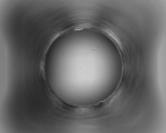 X0000092061481200709262019