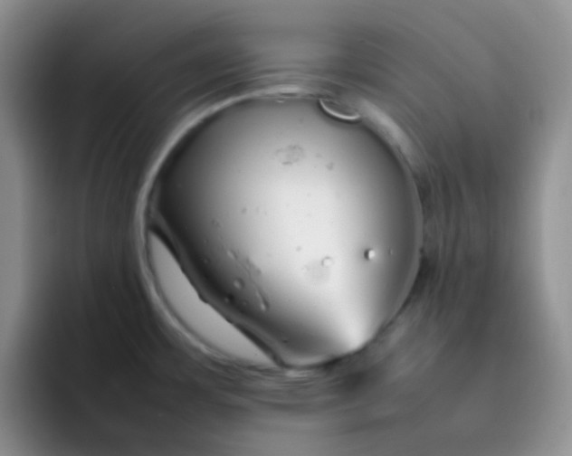 X0000092061483200709262019