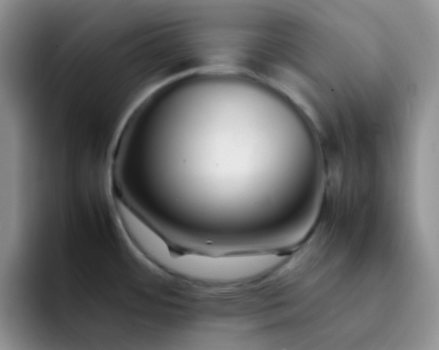 X0000092061484200709262018