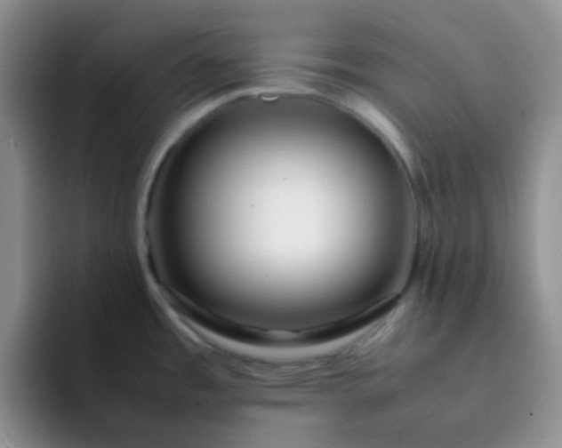 X0000092061485200709262018