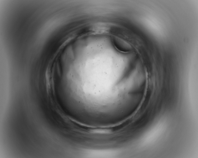 X0000092061487200709262018