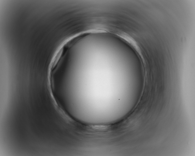 X0000092061488200709262018