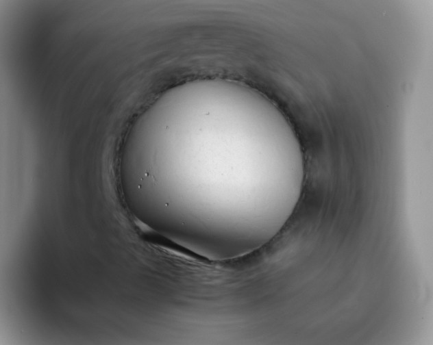 X0000092061489200709262018