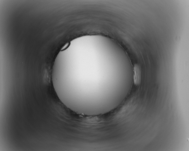 X0000092061491200709262018