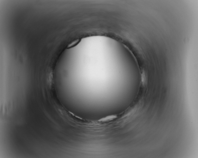 X0000092061492200709262018