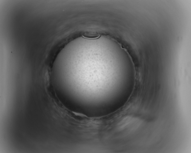 X0000092061493200709262018