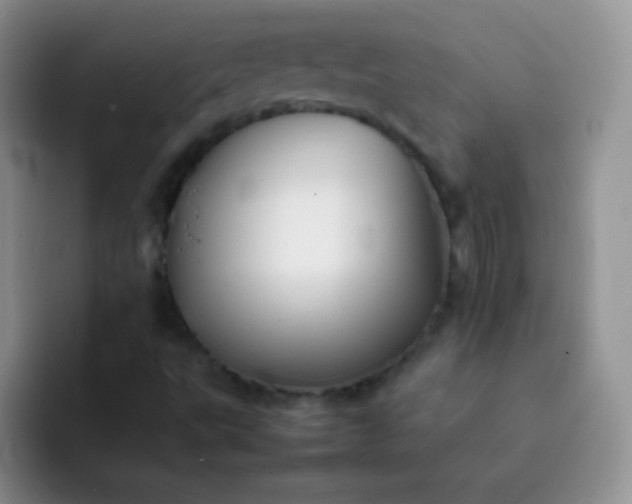 X0000092061495200709262018