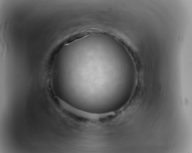 X0000092061496200709262018