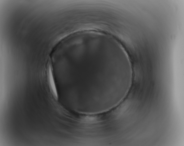 X0000092061497200709262018