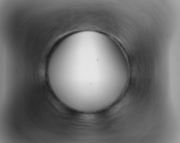 X0000092061499200709262018