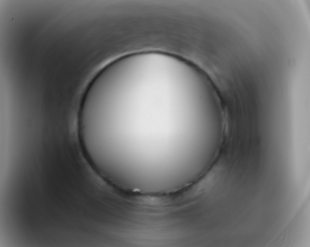 X0000092061500200709262018