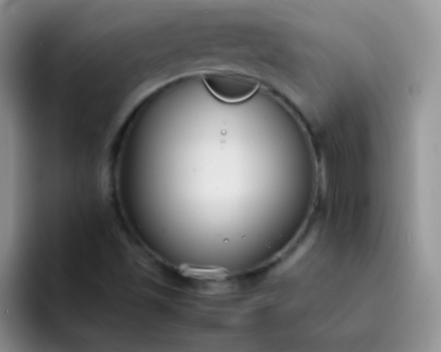 X0000092061501200709262018